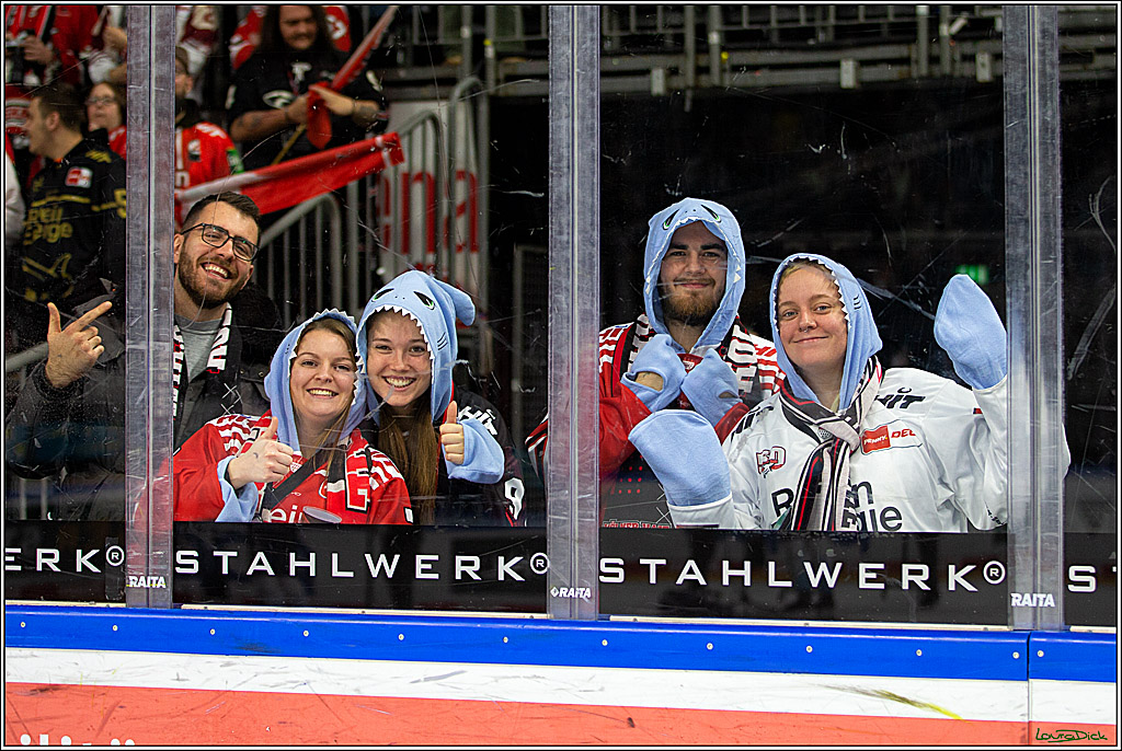 PENNY DEL;  Kölner Haie - ERC Ingolstadt; Köln, 25.11.2022